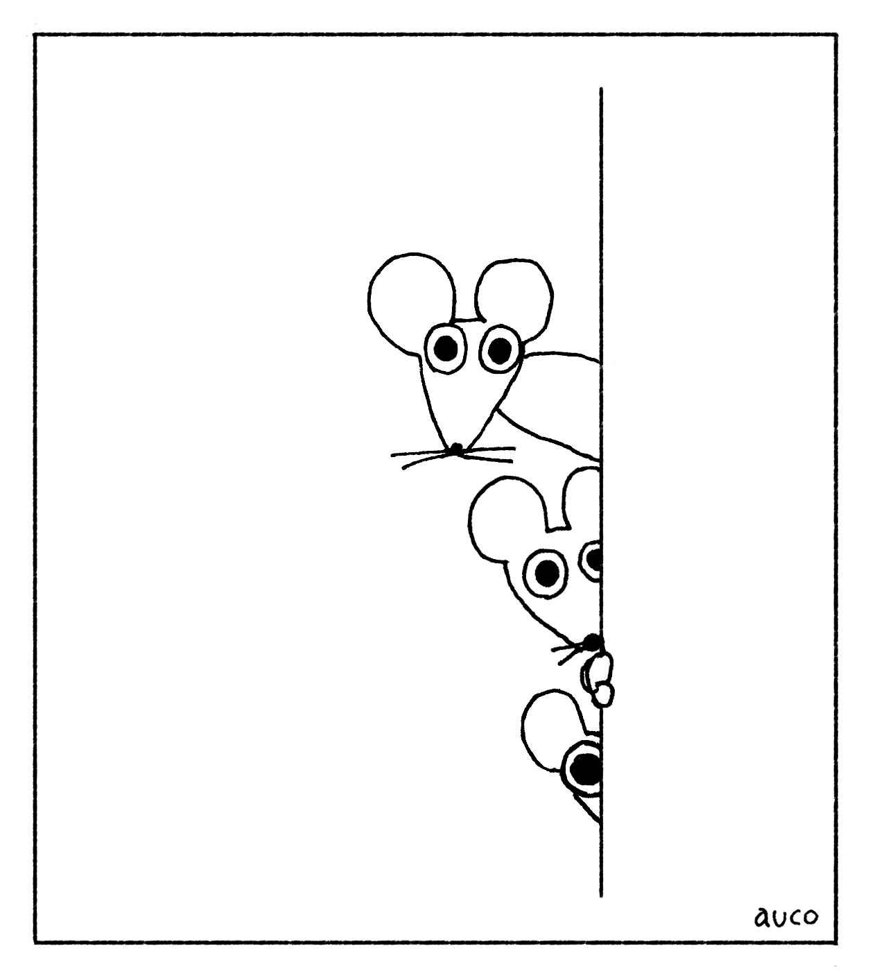 写真のねずみの表紙イメージ