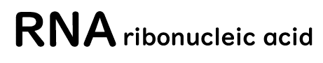 アルファベット大文字で書かれたRNAの右側で、アルファベット小文字で書かれたribonucleic acidが下付きになっている様子の画像